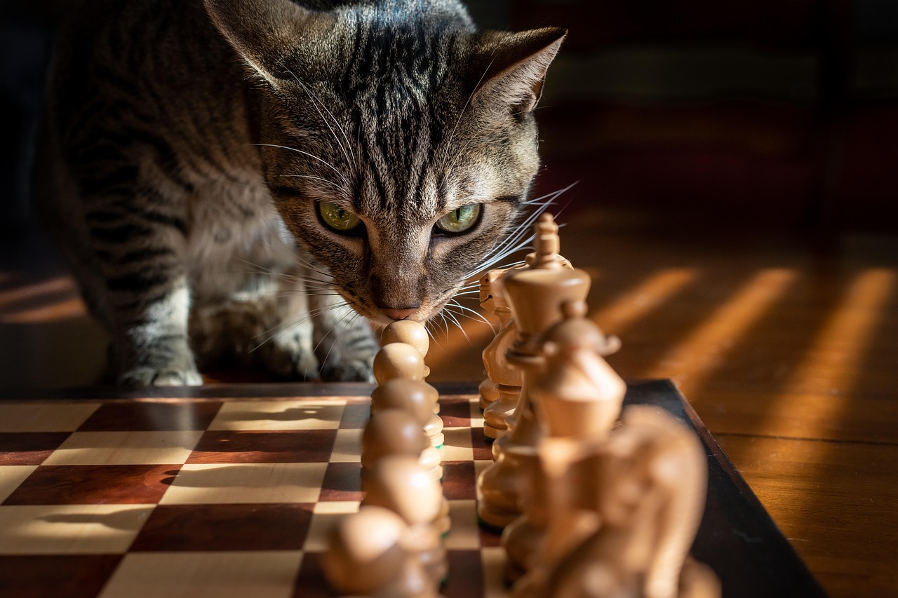 Game strategy