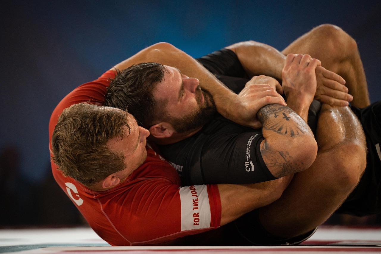 MMA fight