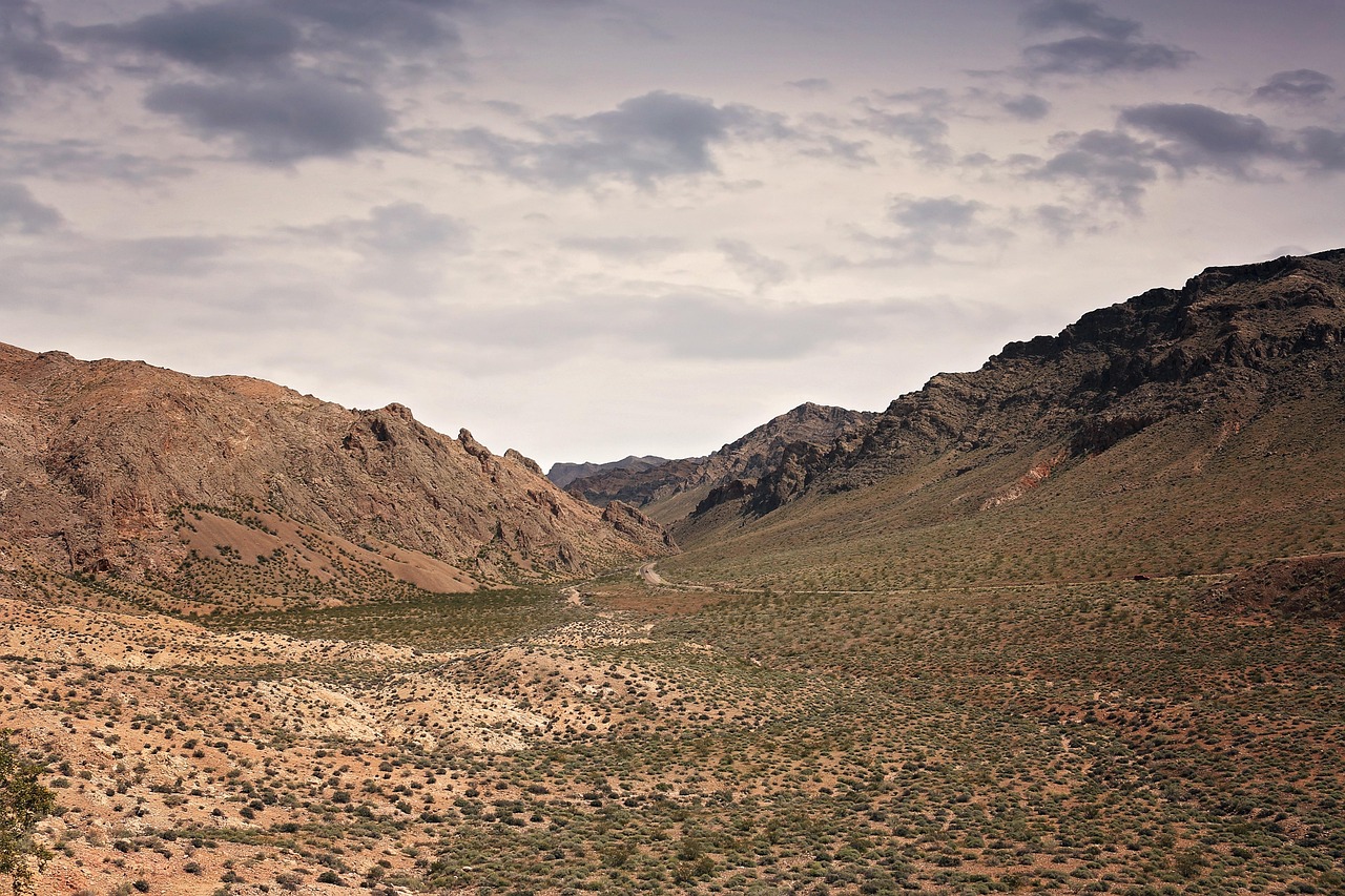 Las Vegas scenery