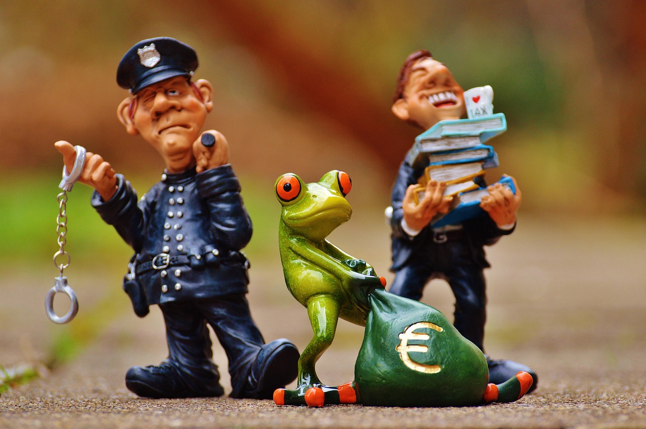 Fraud arrest