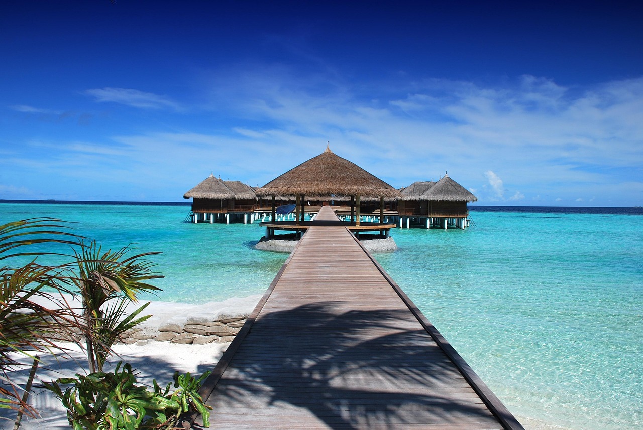 Resort fees