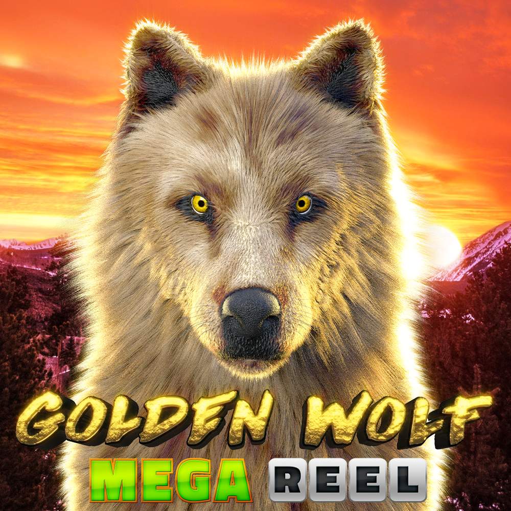 Golden Wolf main 1000x1000